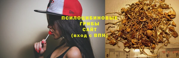 гидра Беломорск