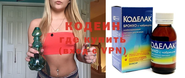 индика Бронницы