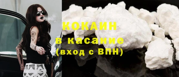 индика Бронницы