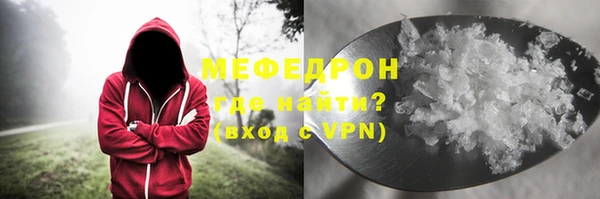 индика Бронницы