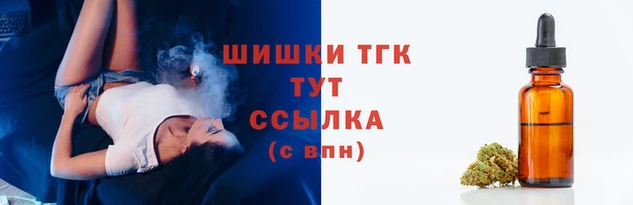 индика Бронницы