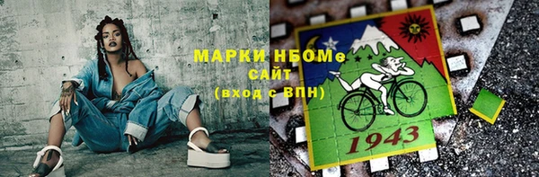 индика Бронницы