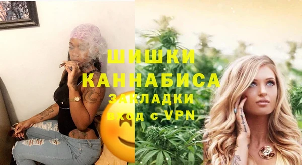 индика Бронницы