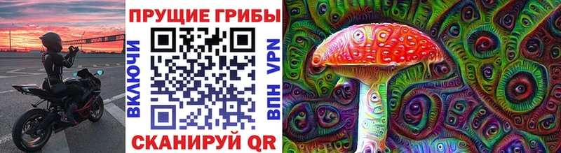 блэк спрут ССЫЛКА  Гуково  Галлюциногенные грибы мицелий 